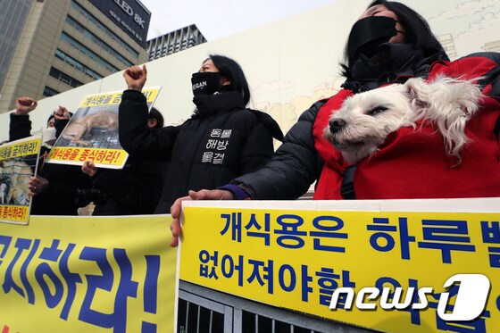구호 외치는 한국동물보호연합 