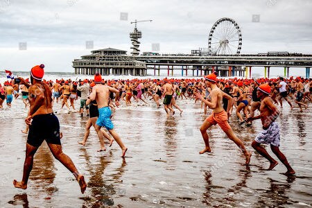네덜란드 북극곰 수영 대회 / 사진출처 = Shutterstock