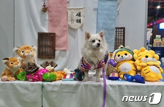 반려동물 박람회 '마이펫페어'가 14일 서울 강남구 세텍에서 열렸다. © 뉴스1 최서윤 기자