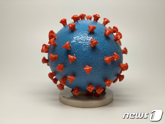 신종 코로나바이러스 감염증(코로나19) 모형도. © 로이터=뉴스1 © News1 정윤영 기자