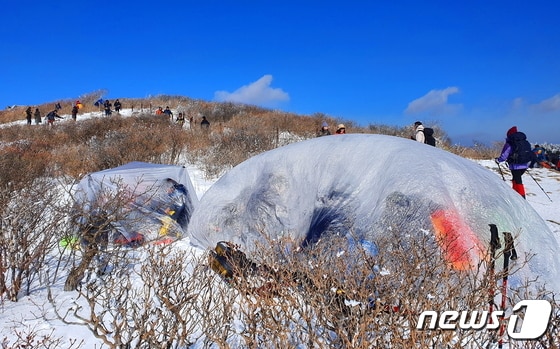 비닐막 쉘터. 장군봉과 천제단 일원에서 비닐막 텐트를 치고 추위를 피하는 사람들 © 뉴스1