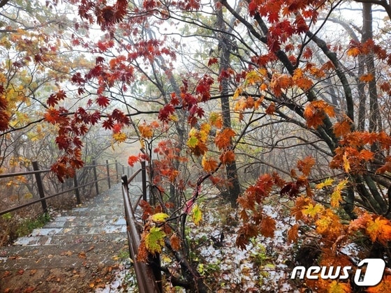 원주 치악산 비로봉 정상(해발 1288m).© News1 DB