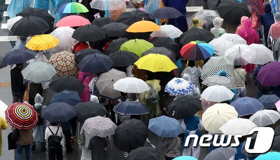 자료사진 /뉴스1 © News1 박지혜 기자