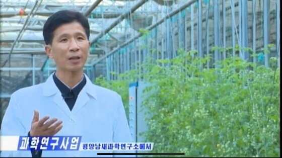 평양남새과학연구소 관계자가 채소 품종 연구 사업에 대해 소개하고 있다. (조선중앙TV 갈무리) © 뉴스1