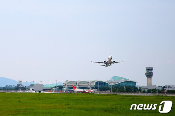 무안국제공항 전경/뉴스1 © News1