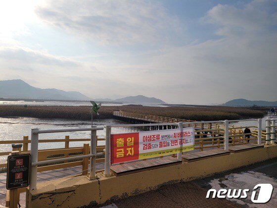 고병원성 조류인플루엔자가 검출된 강진만 생태공원 모습.(전남도 제공) 2022.11.16/뉴스1 © News1 전원 기자