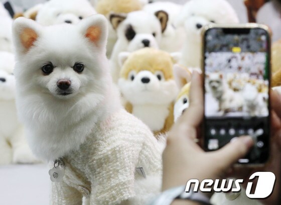 (자료사진)  © News1 박세연 기자