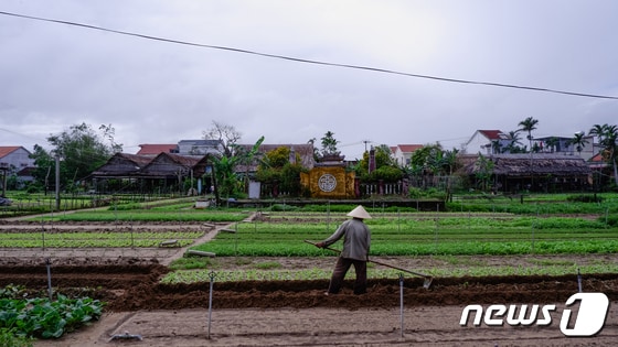 트라 꿰 채소마을의 풍경© News1  