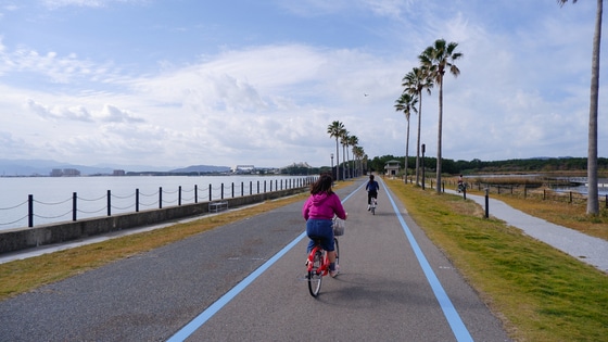 해변공원을 자전거를 타고 달리는 여행객들의 모습© News1 윤슬빈 기자