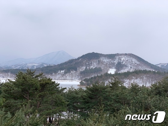 새하얗게 얼어붙은 송지호© 뉴스1  
