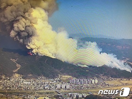 강원 양구군 산불. 산림청 제공.© 뉴스1