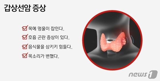 © News1 윤주희 디자이너