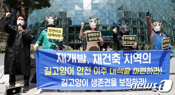 한국동물보호연합, 길고양이 안전 이주 보장하라!