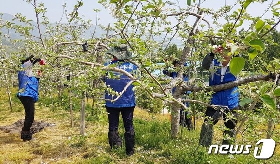 진천군 공무원들이 생산적 일손지원으로 받은 실비를 모아 아이들의 미래를 돕는다.(사진은 기사내용과 무관함)© 뉴스1