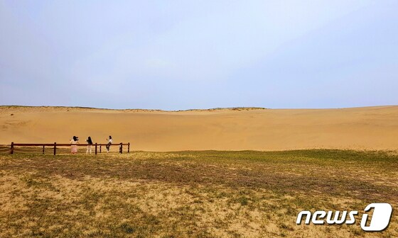 한국의 사하라사막 신두리 사구의 뷰 포인트. 낙타가 지나가도 될 풍경이다 © 뉴스1