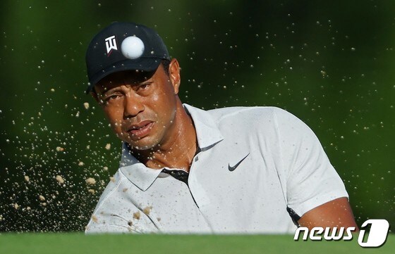 메이저대회 PGA 챔피언십 출전을 준비 중인 타이거 우즈. © AFP=뉴스1