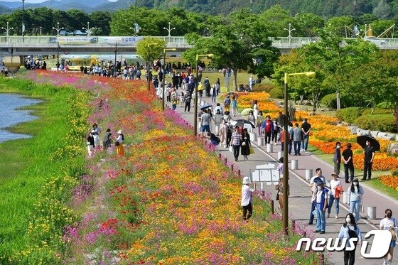 전남 장성 '황룡강 (洪)길동무 꽃길축제'를 찾은 관람객들.(장성군 제공)2022.5.23/뉴스1 © News1