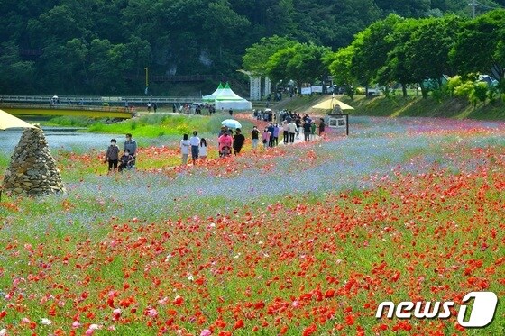 전남 장성 '황룡강 (洪)길동무 꽃길축제'를 찾은 관람객들.(장성군 제공)2022.5.23/뉴스1 © News1