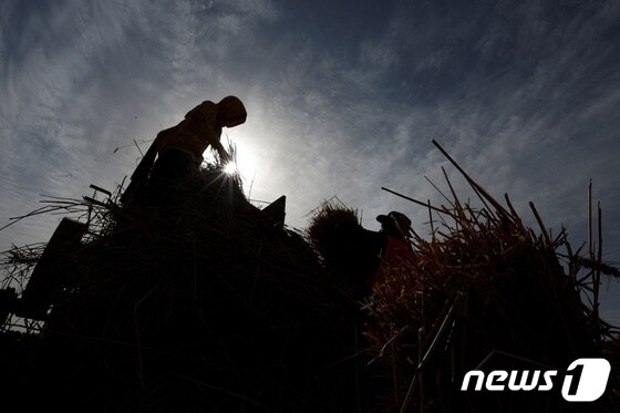 우크라이나 농경지의 4분의 1이 손실됐다고 당국이 밝혔다. © 로이터=뉴스1 © News1 정윤영 기자