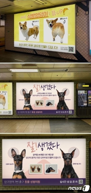 지하철에 등장한 강아지 성형수술 광고 (온라인 커뮤니티 갈무리) © 뉴스1
