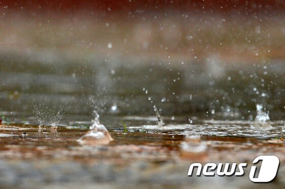 빗방물.(자료사진)© News1 DB