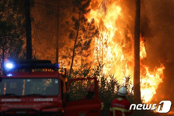 12일(현지시간) 폭염에 휩싸인 포르투갈에서 소방관들이 앞다퉈 화재를 진압하고 있다. 지난 8일 리스본 북부 오우렘에서 시작된 대형 산불이 강풍으로 인해 재점화됐다. © 로이터=뉴스1 © News1 유민주 기자