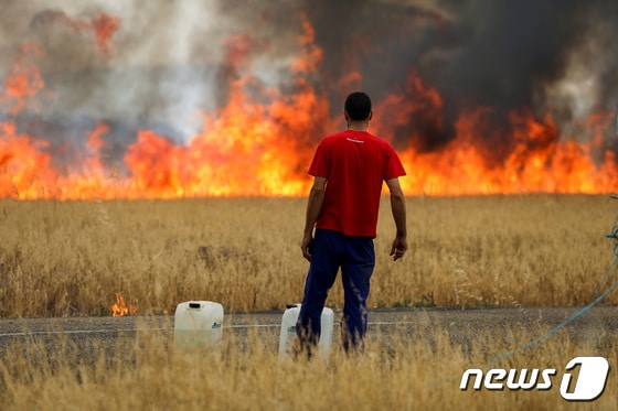 18일(현지시간) 스페인 사모라 지방에서 한 양치기가 올 들어 두 번째 폭염을 겪고 있는 타바라의 밀밭을 태우고 있는 불길을 지켜보고 있다. © 로이터=뉴스1 © News1 유민주 기자