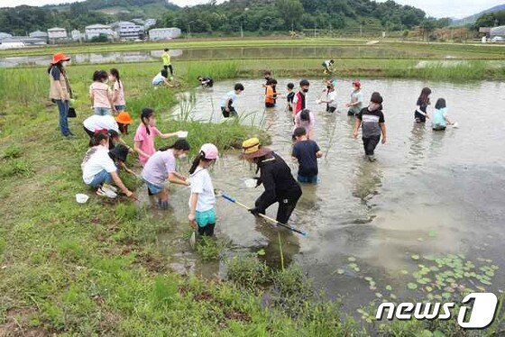 김해 화포천습지생태공원에서 청소년들이 체험활동을 하고 있다. (김해시 제공) © 뉴스1
