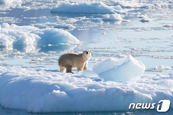 그린란드 빙하 © 로이터=뉴스1 © News1 이유진 기자