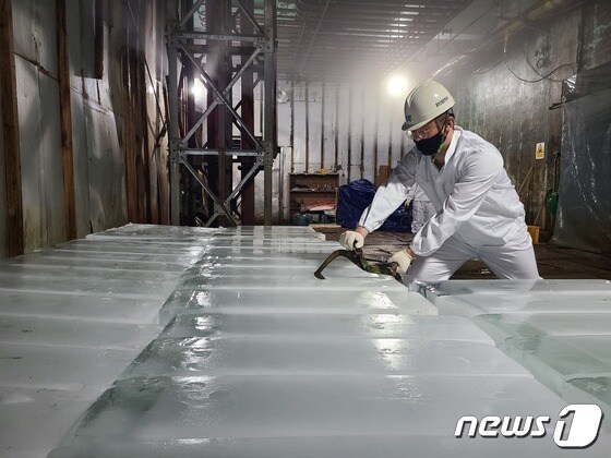 6일 오전 부산공동어시장 내 얼음창고에서 한 작업자가 어업용 얼음을 옮기고 있다.(부산공동어시장 제공)© 뉴스1