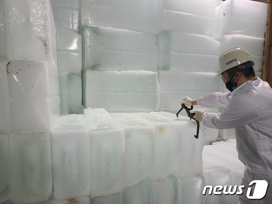 6일 오전 부산공동어시장 내 얼음창고에서 한 작업자가 어업용 얼음을 옮기고 있다.(부산공동어시장 제공)© 뉴스1