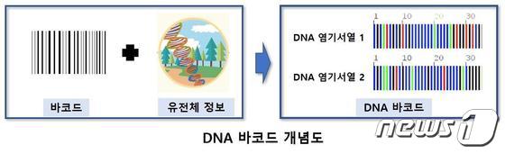 DNA 바코드 개념도© 뉴스1