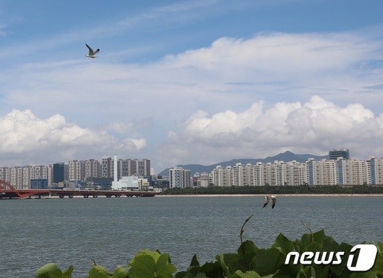 7일 오후 부산 강서구 신호동 인공철새서식지 일대에 철새들이 날고 있다.2022.7.7/© 뉴스1 노경민 기자