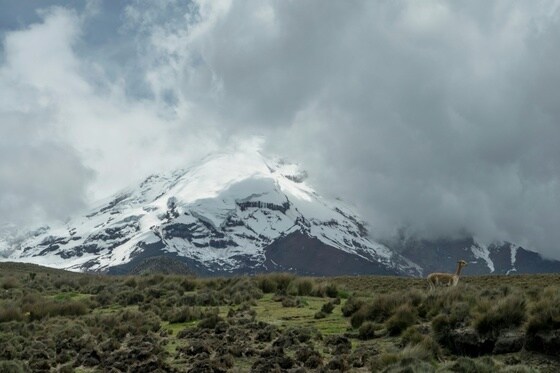 에콰도르에서 가장 높은 산인 침보라소 화산에서 7일(현지시간) 눈사태로 1명이 숨지고 1명이 다쳤다. . © AFP=뉴스1