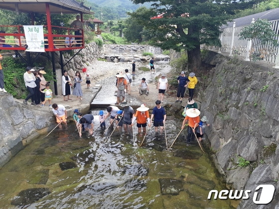 지난해 '개미진 여름여행'에 참여한 어린이들이 물고기 잡기 체험을 하고 있다(곡성군 제공)2022.8.10/© 뉴스1