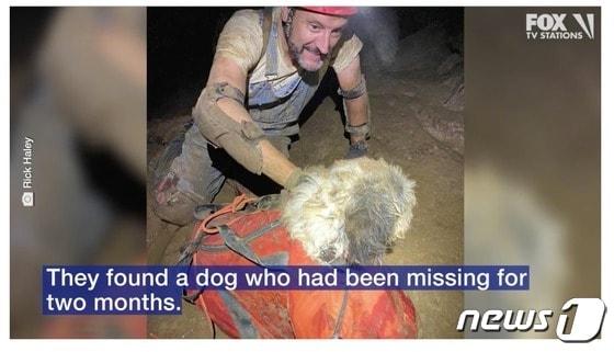 동굴을 탐험하던 미국인들이 아사 직전의 개를 발견하고 구조했다. 폭스뉴스 캡쳐 갈음.