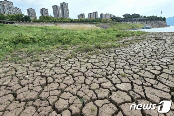 중국 충칭의 양쯔강이 극심한 가뭄으로 갈라진 바닥을 드러내고 있다. © AFP=뉴스1 © News1 우동명 기자