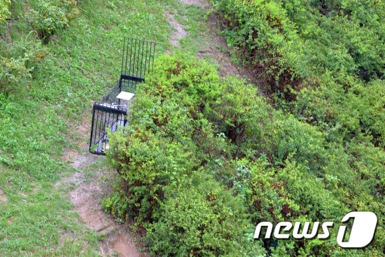 경북 포항시청 뒷산에 유기견 포획틀이 설치되어 있다. 2022.8.30/뉴스1 © News1 최창호 기자
