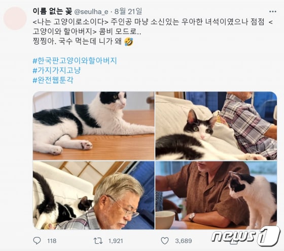 다혜씨가 지난달 21일 트위터에 올린 문재인 전 대통령과 반려묘 ‘찡찡이’ 사진. (문다혜씨 트위터 캡처)2022.9.14/뉴스1