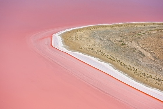 분홍빛의 에어호(그랜트 헌트 포토그래피 제공)
