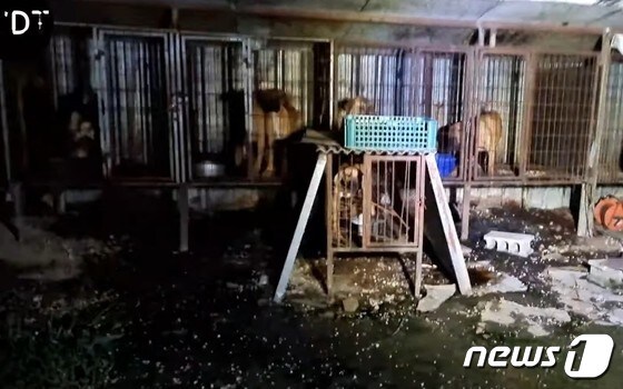 경북 경산시 진량읍의 한 야산에서 동물학대 의심되는 시설이 발견됐다.(유튜브 갈무리)© 뉴스1