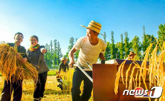 北 황해남도 농민들, 새 농기계로 가을걷이 시작…