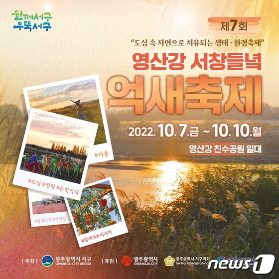 제7회 영산강 서창들녘 억새축제 포스터. (광주 서구 제공) 2022.9.29/뉴스1