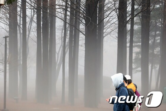1일 대전·충남은 충남권에 강한 바람이 부는 가운데 가시거리 1km 미만의 안개가 끼는 곳이 있겠다. 숲에 안개가 짙게 끼어있다. / 뉴스1 © News1 황기선 기자
