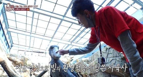 SBS '동물농장' 방송 화면 갈무리