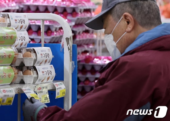 서울 시내 한 대형 식자재 마트에서 한 시민이 계란 가격을 확인하고 있다.  2023.11.23/뉴스1 © News1 김진환 기자