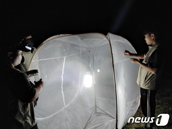 청년 생태조사단의 야간 등화채집 모습.(태안해안국립공원 제공)/뉴스1