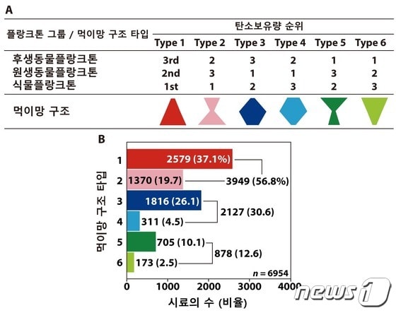 탄소량 기준 전 세계 해양의 먹이망 구조. (서울대 제공)/뉴스1