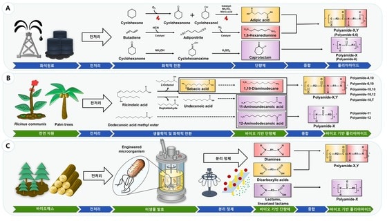 바이오 기반 폴리아마이드 생산 모식도.(KAIST 제공)/뉴스1