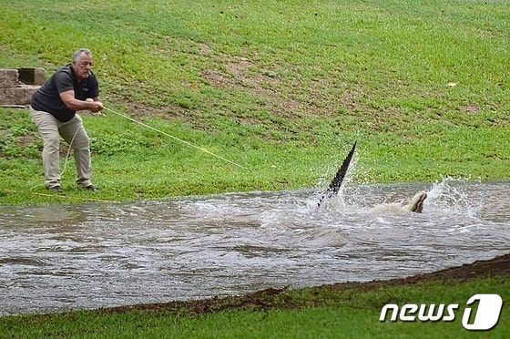 18일(현지시간) 호주 퀸즐랜드 북부 잉엄 마을에 사이클론 재스퍼의 영향으로 폭우가 내린 가운데 악어가 출몰했다. 23.12.18 © AFP=뉴스1 © News1 김예슬 기자